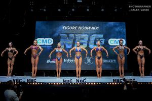 FIGURE НОВИЧКИ